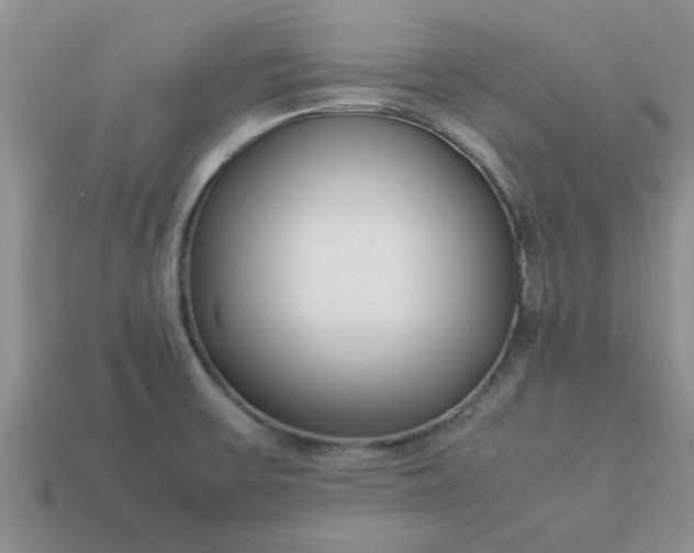 X0000113011475200909101807