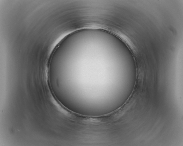 X0000113011476200909101807