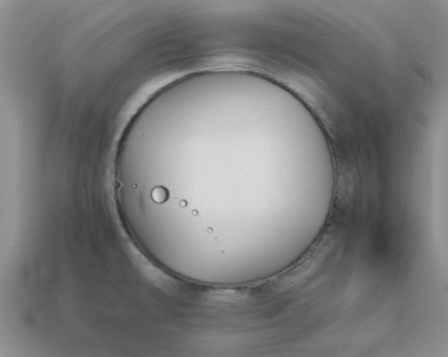 X0000113011478200909101807