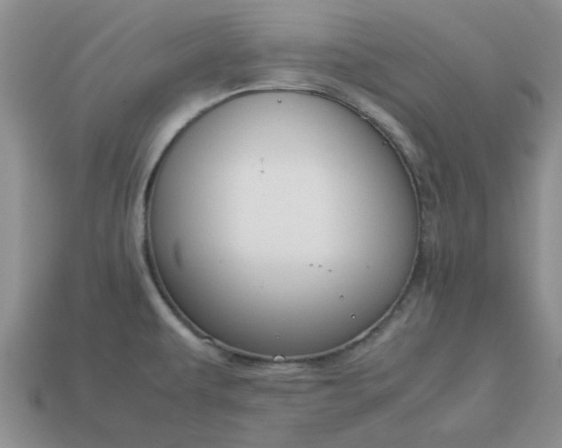 X0000113011479200909101807