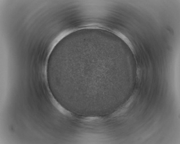 X0000113011482200909101807