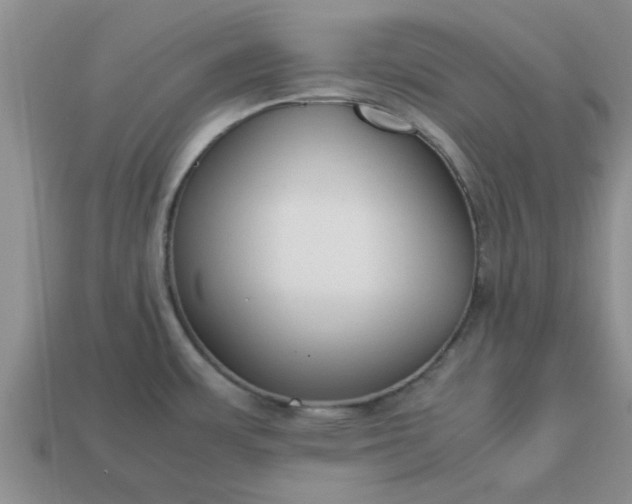 X0000113011483200909101807