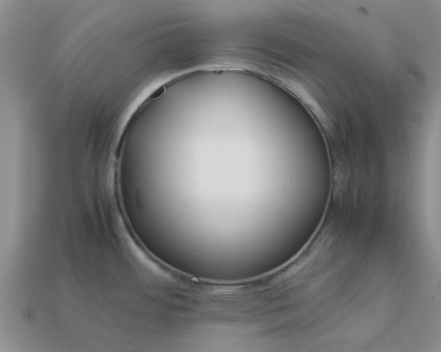 X0000113011484200909101807