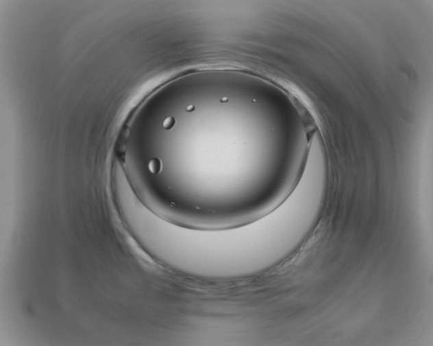 X0000113011485200909101807