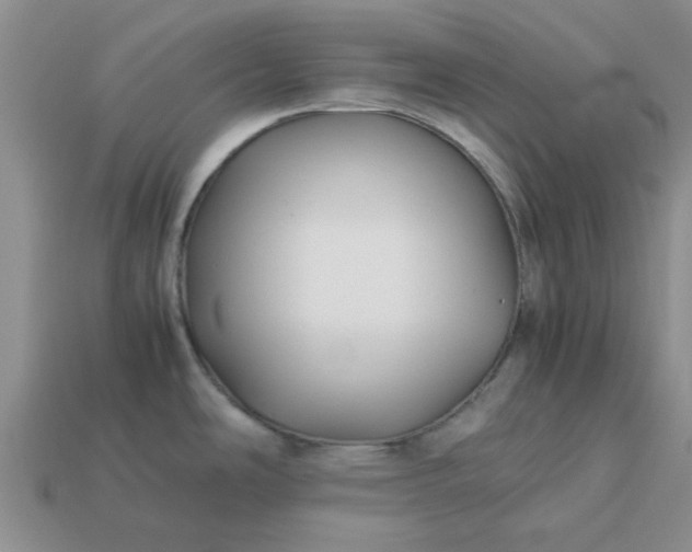 X0000113011486200909101807