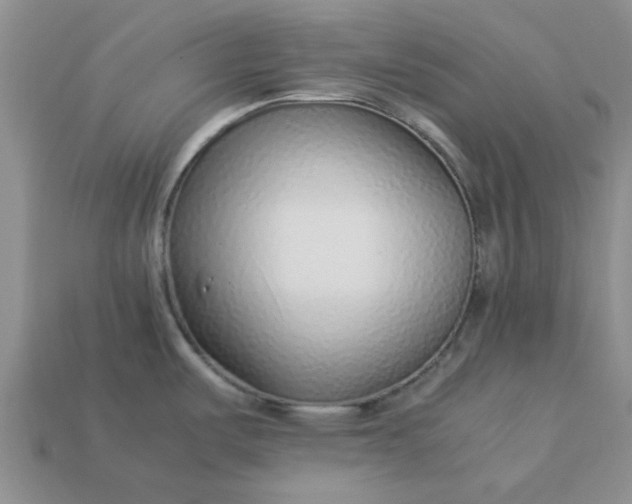 X0000113011487200909101807