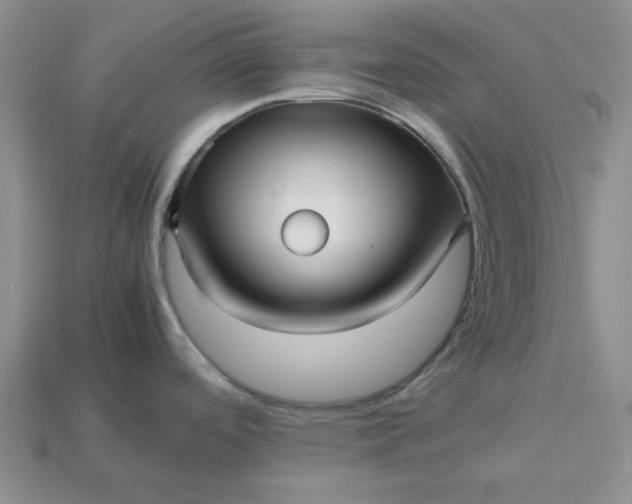 X0000113011488200909101807