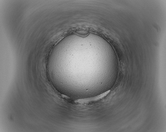 X0000113011489200909101806