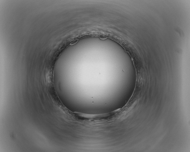 X0000113011490200909101806