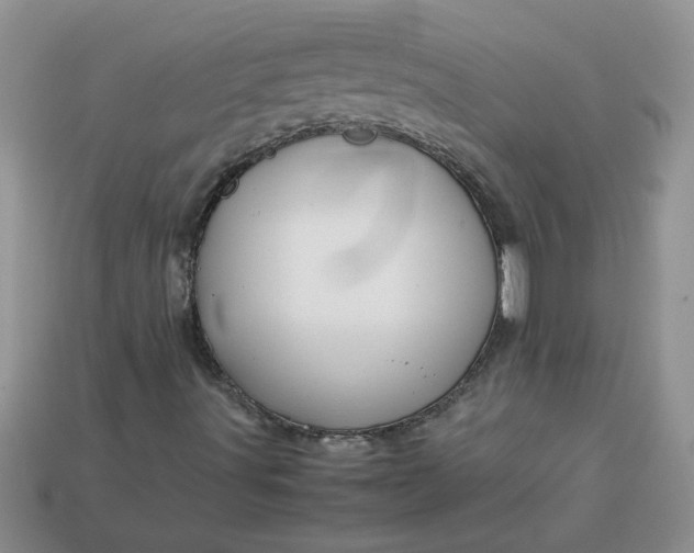 X0000113011491200909101806