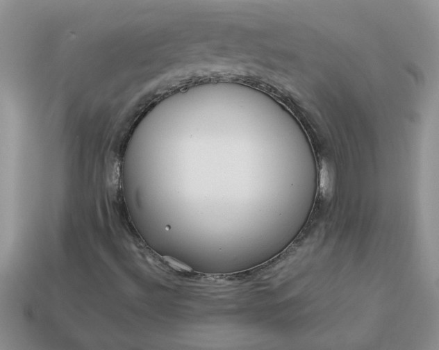 X0000113011492200909101806