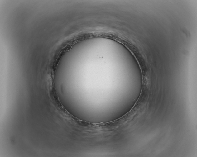 X0000113011493200909101806