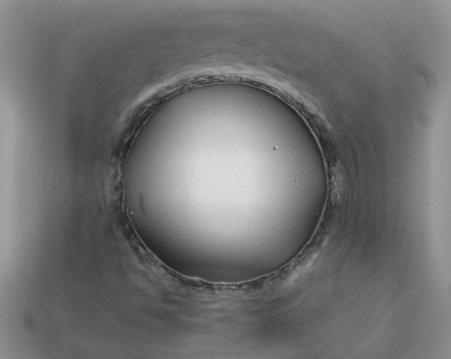 X0000113011494200909101806