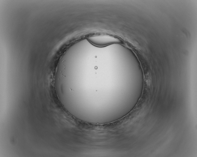 X0000113011495200909101806