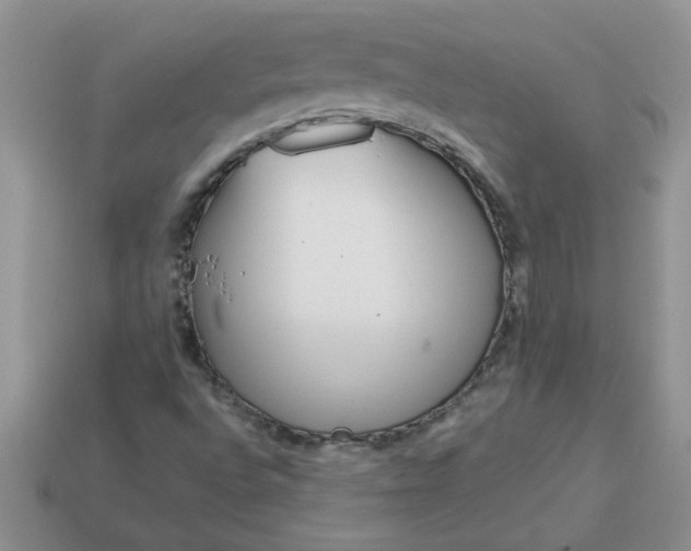 X0000113011496200909101806