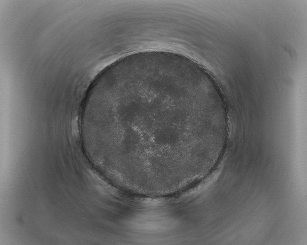 X0000113011497200909101806