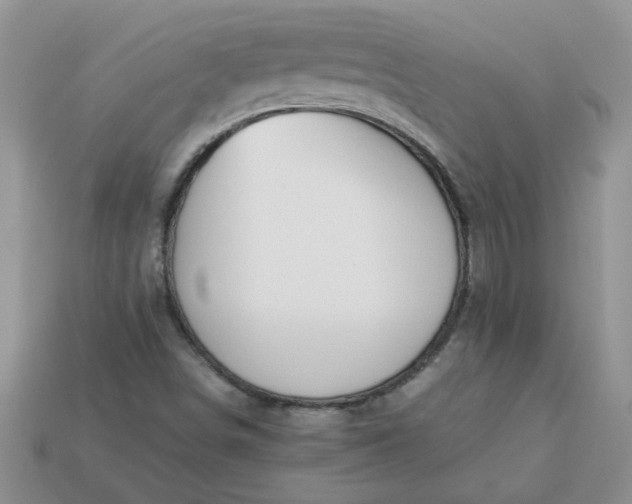 X0000113011498200909101806