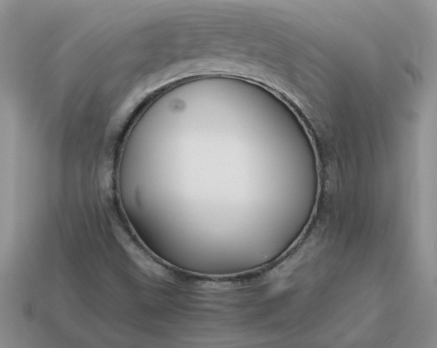 X0000113011499200909101806