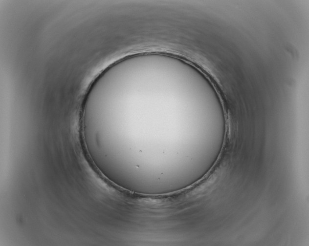 X0000113011500200909101806