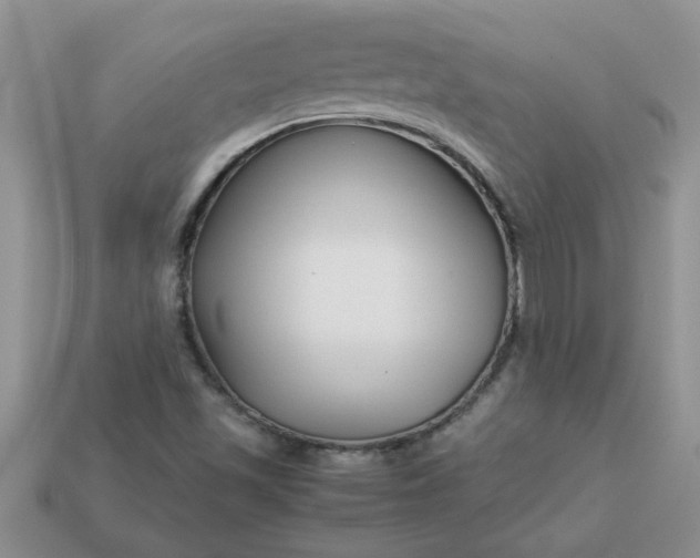 X0000113011501200909101807