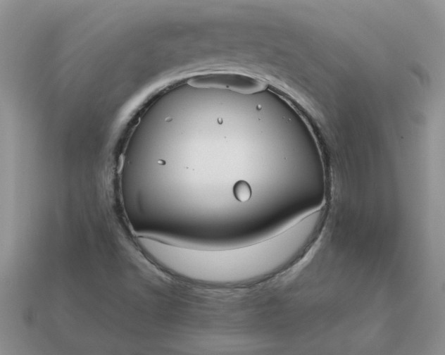 X0000113011502200909101807