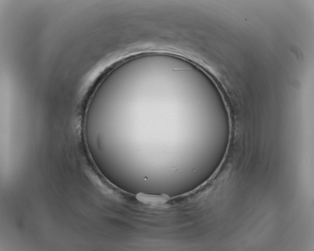 X0000113011503200909101807