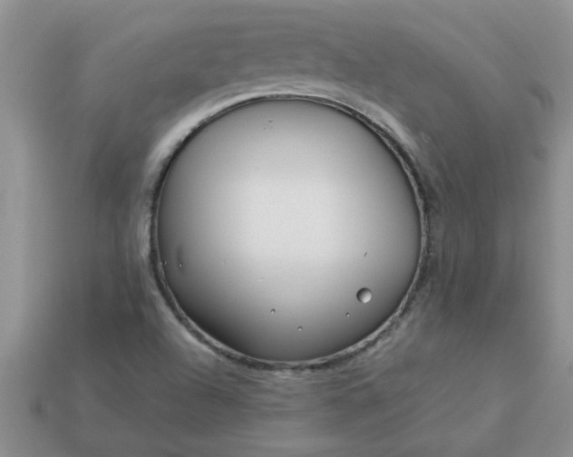 X0000113011504200909101807