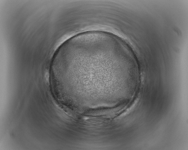 X0000113011505200909101807