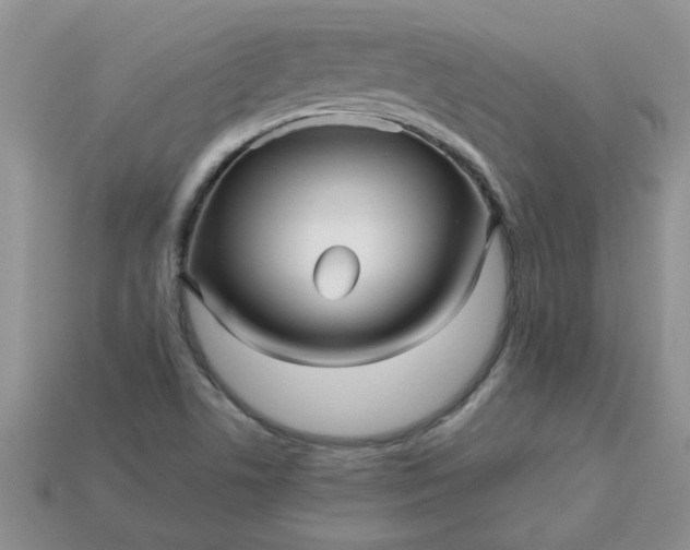 X0000113011506200909101807