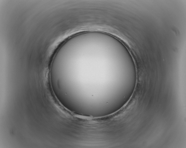 X0000113011507200909101807