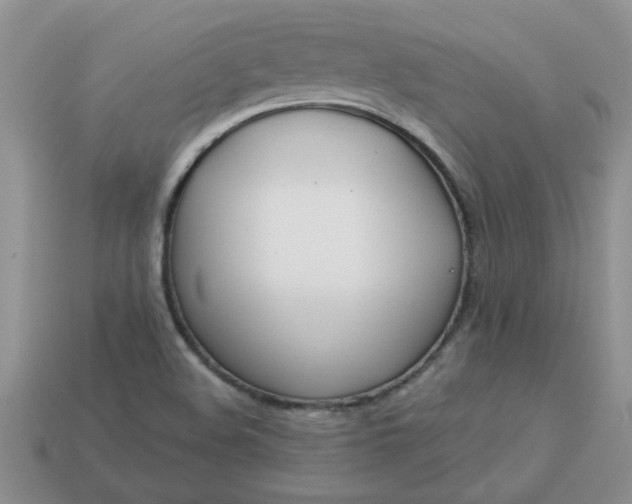 X0000113011508200909101807