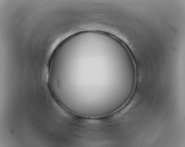 X0000113011509200909101807