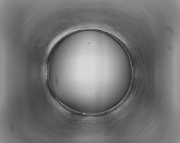 X0000113011510200909101807