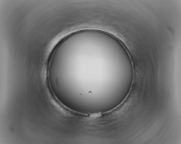 X0000113011511200909101807