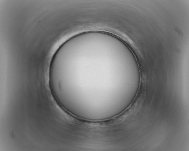 X0000113011512200909101807