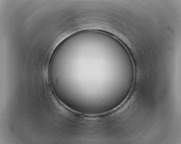 X0000113011513200909101807