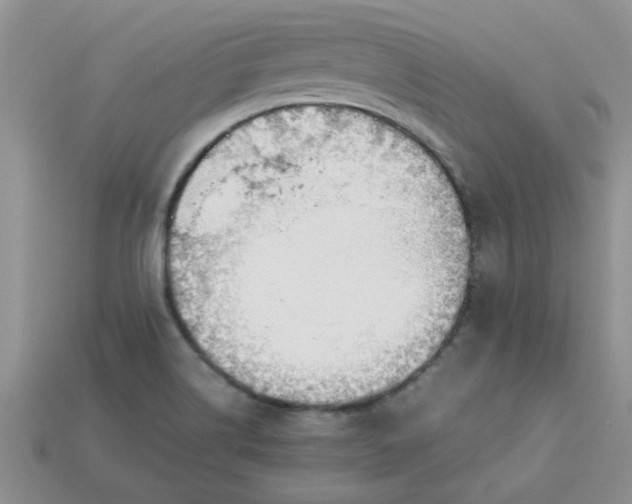 X0000113011514200909101807