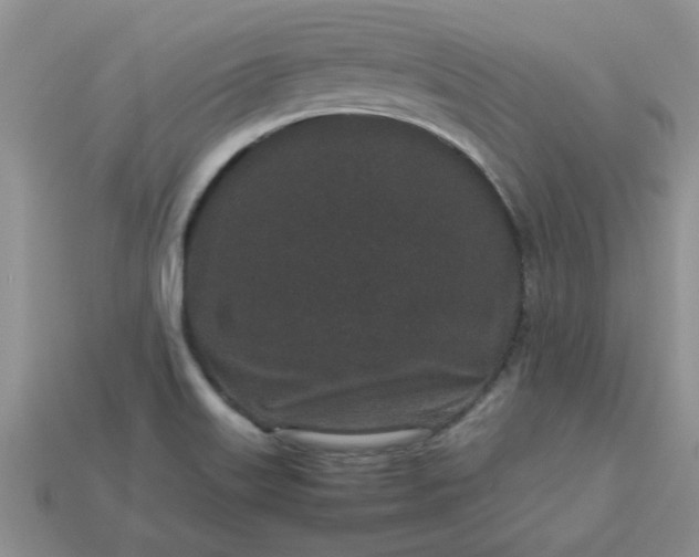 X0000113011515200909101807