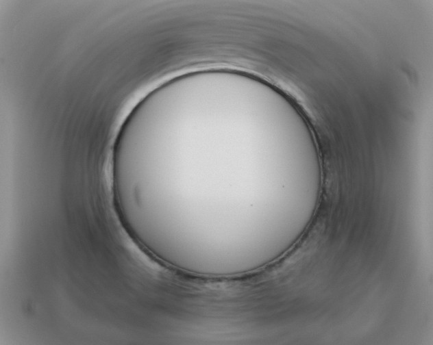 X0000113011516200909101807