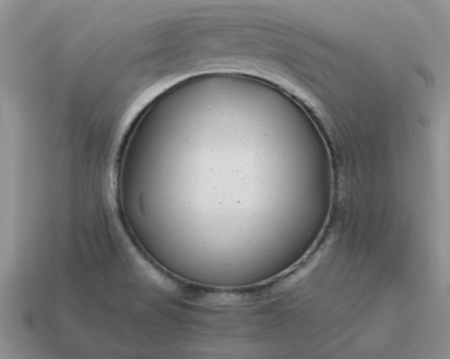 X0000113011517200909101807