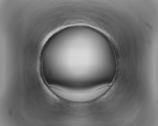 X0000113011518200909101807