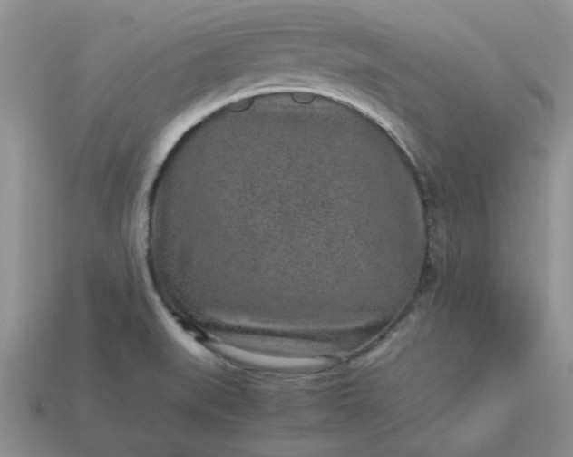 X0000113011519200909101807