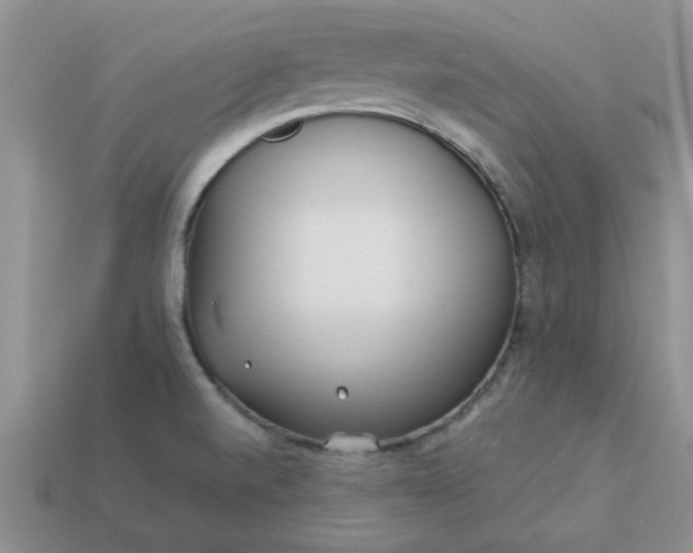 X0000113011520200909101807