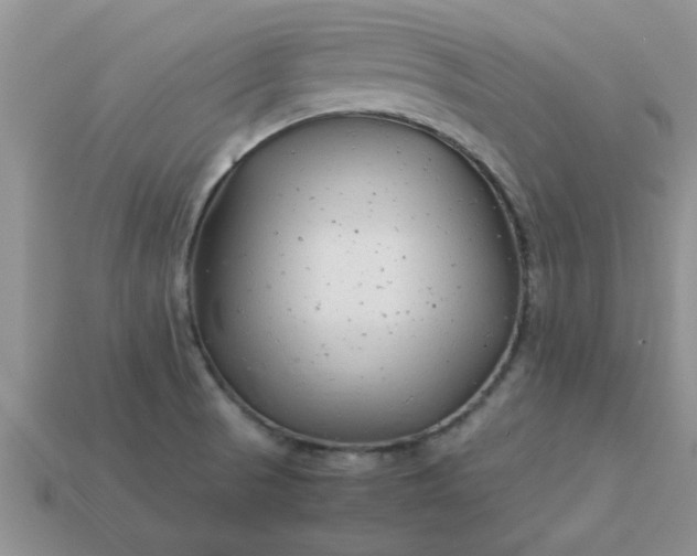 X0000113011521200909101807