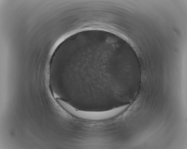 X0000113011522200909101807