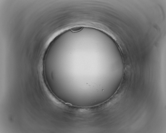 X0000113011523200909101807