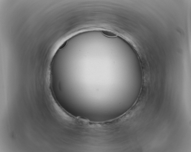 X0000113011524200909101807