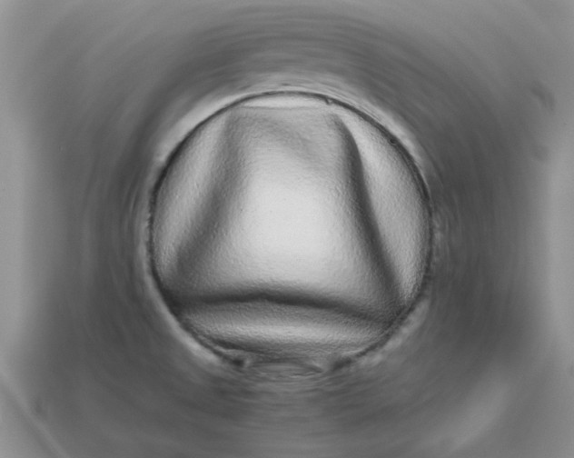 X0000113011525200909101807