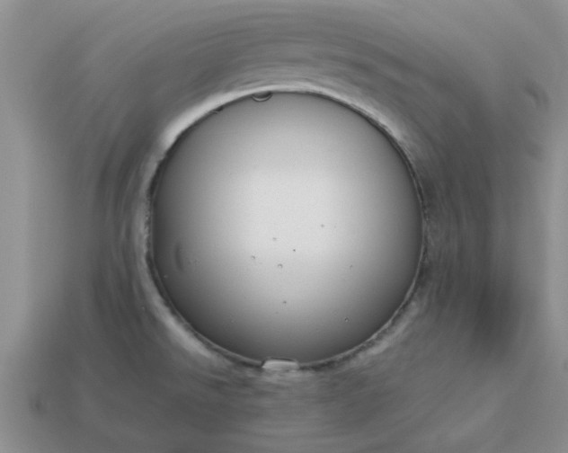 X0000113011526200909101807