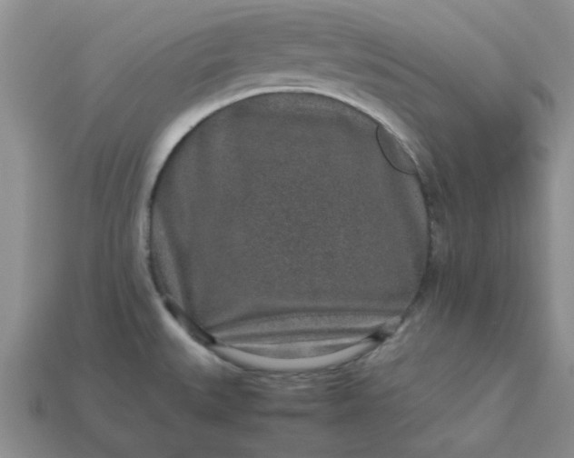 X0000113011527200909101807